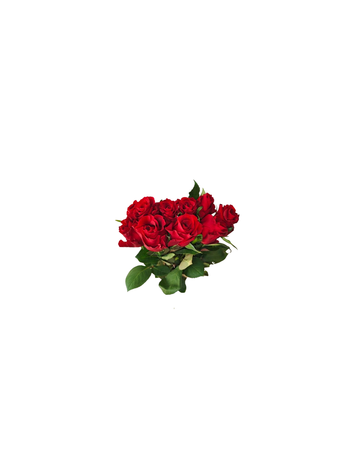 Ever Red