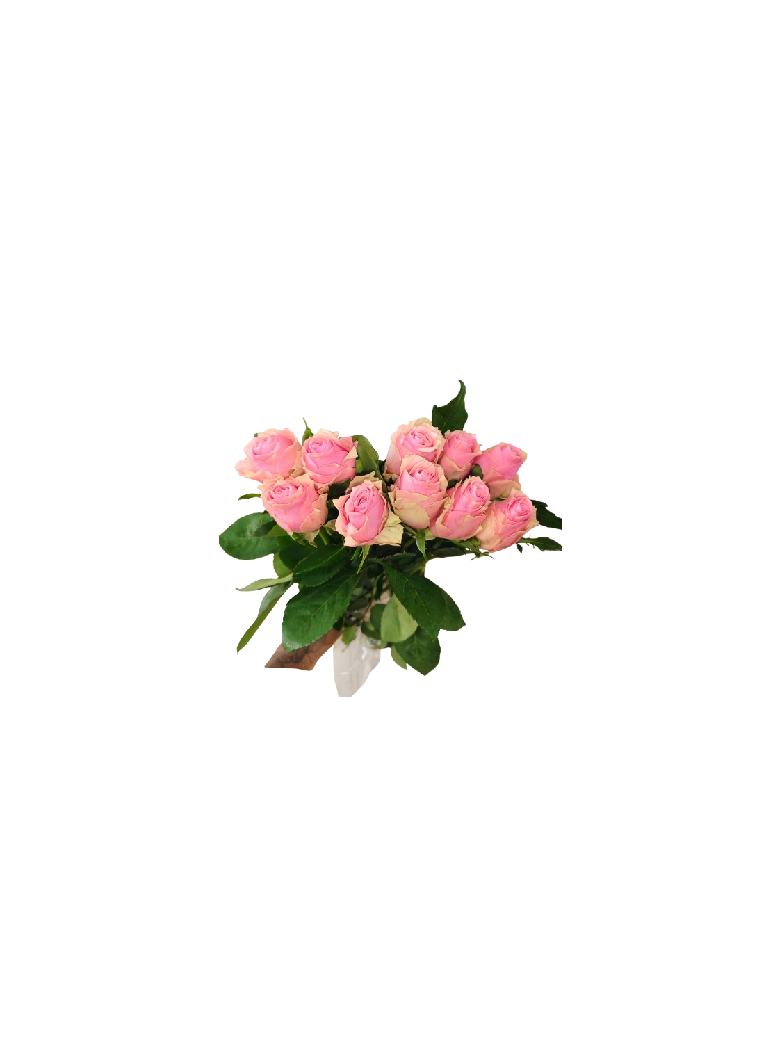 Pink rose